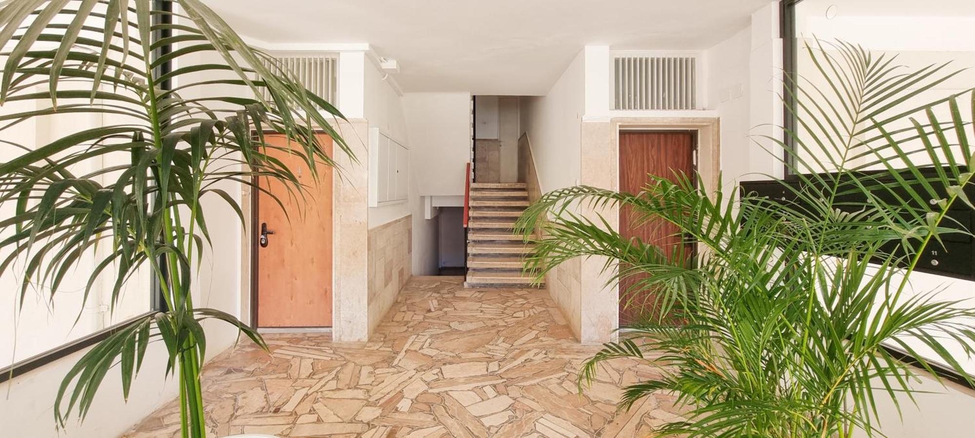 Bnb Israel Apartments - Harav Kook Lilas Tel Aviv Exterior photo